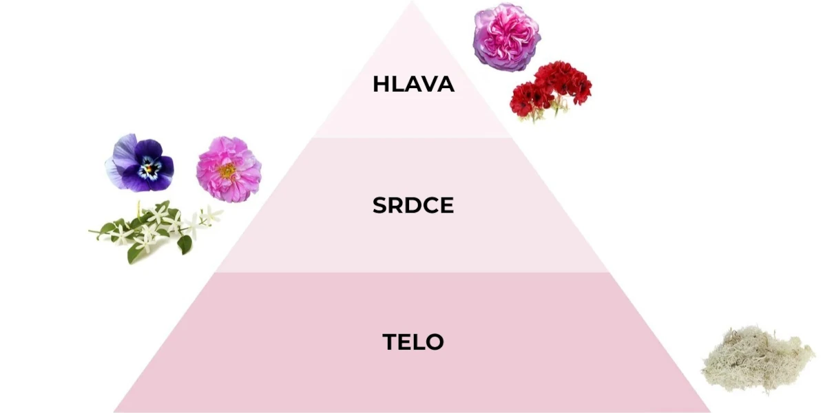 Pyramída vôní parfému do prania Coccole Di Rosa